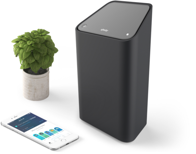 wifi equipment, cell phone, and plant